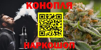 гидра Партизанск