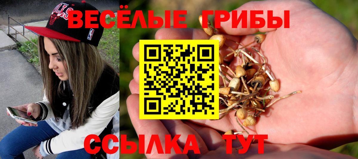 Фурманов  Псилоцибиновые грибы мухоморы  Вход с VPN  Псилоцибиновые грибы Cubensis 